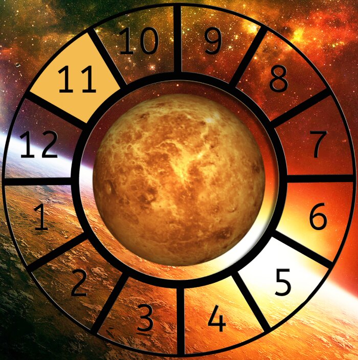 Venus shown within a Astrological House wheel highlighting the 11th House